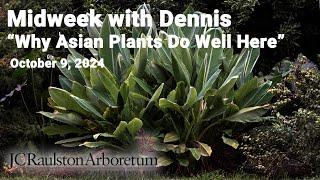 Midweek with Dennis - "Why Do Asian Plants Do So Well in the Southeastern US?"