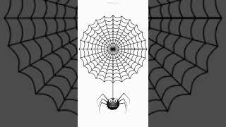 I drew a spider and a web