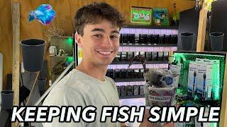 Keeping Fish Simple ** NEW SHOP TOUR **