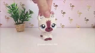 LPS:(NEW HELLOWEEN INTO) LPS addicted to pink episode 1