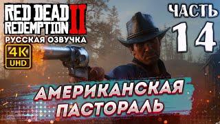 Прохождение Red Dead Redemption 2 с озвучкой в 4к и 60fps # 14 АМЕРИКАНСКАЯ ПАСТОРАЛЬ