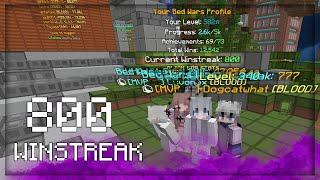 Bedwars 800 winstreak (w/ Wqlff, Luvonox & Dogcatwhat)