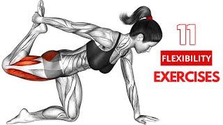 11 Stretching Exercises to Improve Flexibility || Fitonus