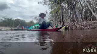 International Rainforest Day 2025
