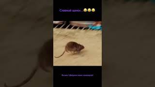 Фильм девушка моих кошмаров лучшие нарезки