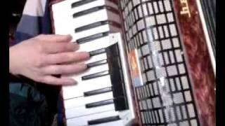 Madonna - You'll see accordion cover