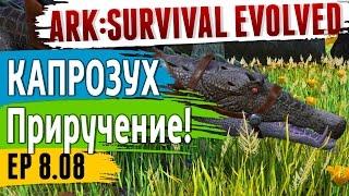 Ark: Survival Evolved - s.8.08 - КАПРОЗУХ (Kaprosuchus)! Приручение!