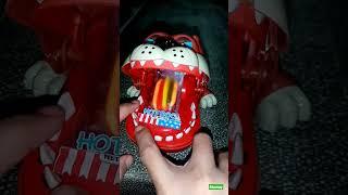 Grumpy dog with his gummy  #shorts #grumpydog #satisfying #funnytoys #ytshorts #asmr #superfun