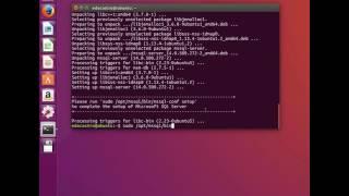 Instalar SQL Server 2017 CTP en Ubuntu