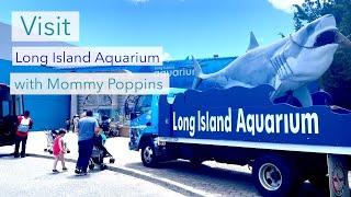 Visit the Long Island Aquarium with Mommy Poppins