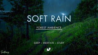 Soft Rain With Distant Thunder | NO MIDROLL ADS | Soothing Rain Sounds For Sleeping