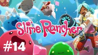 Прохождение Slime Rancher (Слайм Ранчер). Серия 14. Охотник слайм и четыре Гордо