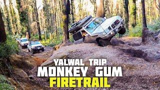 Yalwal 4x4 - Monkey Gum Firetrail