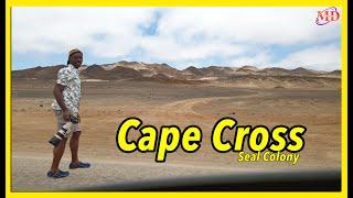 Exploring Cape Cross Seal Colony#loneexplorer