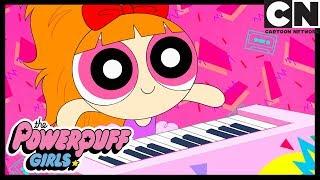 Powerpuff Girls | The Powerpuff Girls Are Superstars | Cartoon Network