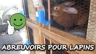 Abreuvoir pour Lapin