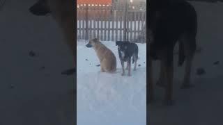 VID 20230227 WA0018