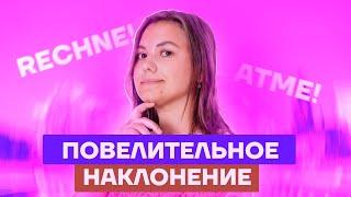 Повелительное наклонение в немецком языке | Немецкий язык ЕГЭ 2022 | Умскул