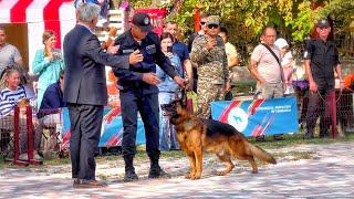 The dog show in Tashkent 2024 has just started