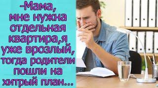 - Мама, мне нужна отдельная квартира, я уже взрослый, тогда родители пошли на хитрый план