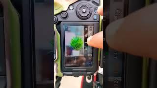 High blur background settings in camera  #shorts #settings #photography