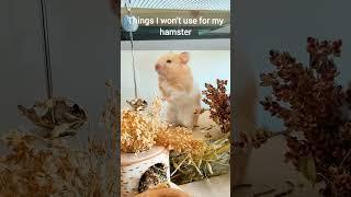 Things I won't use for my Hamster - Unsafe Pet Products - TikTok Trend Hamster Edition ️