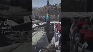 #Fallout76: is it a seal? Is it a river dog? Is it a shark?#fallout #bethesda #fallouttok