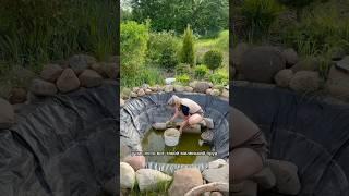 Живем со страусами  в деревне