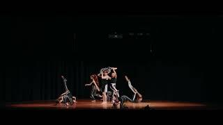 "Euphoria of Mystery" acro troupe choreo by Lana Borisova