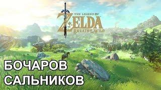 Захар Бочаров и Пётр Сальников в The Legend of Zelda: Breath of the Wild