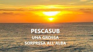 Pescasub: UNA GROSSA SORPRESA ALL' ALBA