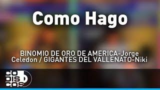 ¿Cómo Hago?, La Combinación Vallenata - Audio