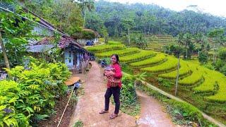 BIKIN BETAH! Suasana Pagi Di Pedesaan, Kampung Yang Indah Ramah Warganya, Pedesaan Sunda Jawa Barat