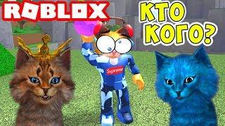 КТО САМЫЙ КРУТОЙ КОТ?! Roblox Cursed Island Котик Игроман и Котёнок Лайк