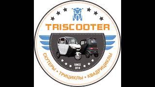 WWW.TRISCOOTER.RU электро трициклы и квадрициклы | Выгрузка/отгрузка 10.10.24 |  ️ 88007774097 ️