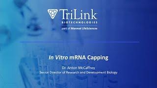 In Vitro mRNA Capping