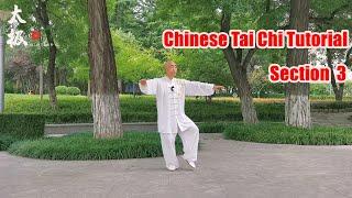 Demonstration and explanation by professional Chinese Tai Chi instructors|Taichi teaching