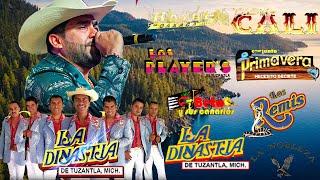 Tierra Caliente Mix 2024Tierra Cali, Los Remis, Alfa7, Los Rayos, Los Player's