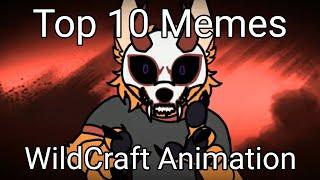 Top 10 WildCraft Animation Meme #1