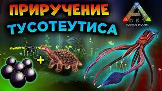 ПРИРУЧЕНИЕ ТУСОТЕУТИСА в ARK MOBILE | ark survival evolved, Арк Мобайл, ark taming , #ark #arkmobile