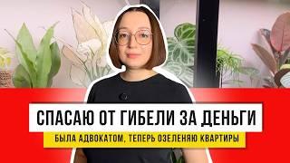 Уход за минуту! Озеленение квартиры с нуля – просто и легко! + Моя коллекция растений!