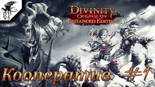 Divinity: Original Sin Enhanced Edition [Стрим] #1 - Кооператив