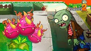  НОВОЕ РАСТЕНИЕ DRAGON BRUIT!  Plants vs Zombies 2 Растения против зомби 2 Прохождение