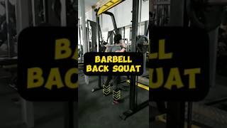 Teknik Barbell Back Squat