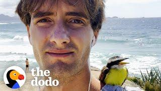 Young Couple Become Parents After Rescuing A Baby Bird | The Dodo