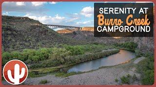 Discovering Oasis: The Complete Guide to Burro Creek Campground | Arizona