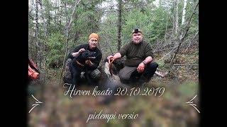 Hirven kaato 20.10.2019. Pidempi versio.