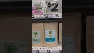 Five Below Finds | Grow Kits | #fivebelowfinds #growyourownfood