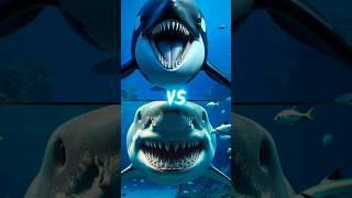 Battle of the Titans: Killer Orca Whale vs Megalodon vs Ocean's Greatest Creatures#shorts #shorts