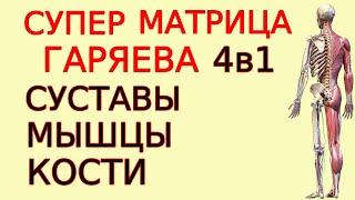 Матрица Гаряева-лидер по оздоровлению костно-мышечной системы. Медитация с формулами 4в1 обновленная